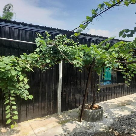 บ้านสวนปวิชญา เกษตรอินทรี Fang Luaran gambar